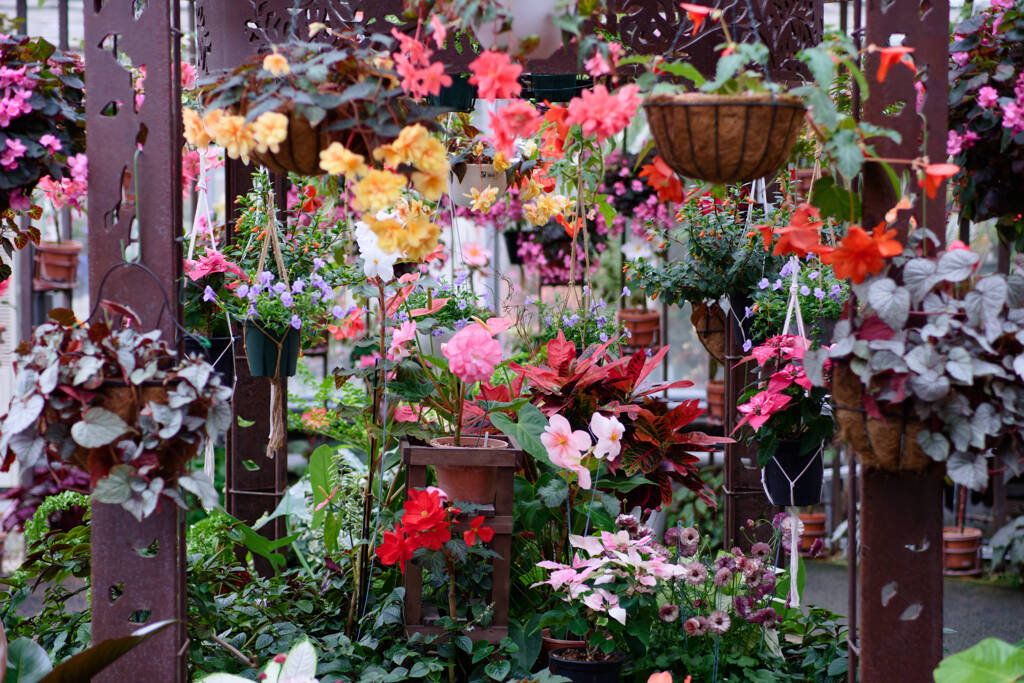 兵庫県立フラワーセンター