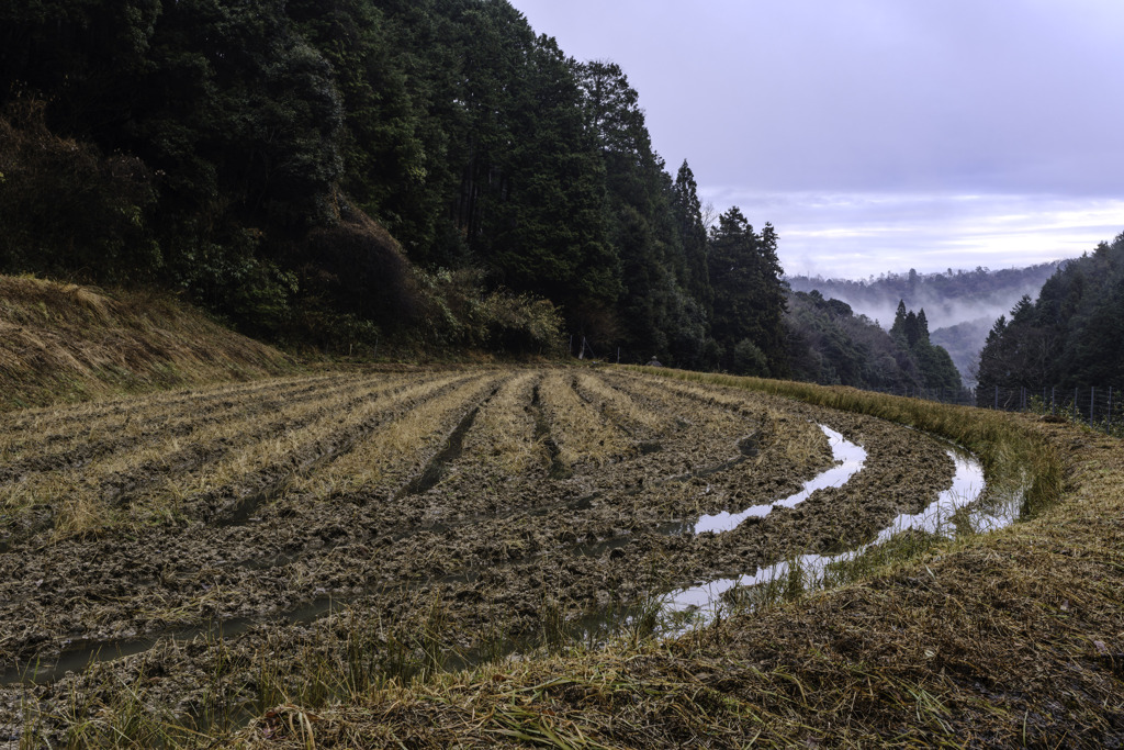 織りなす大地