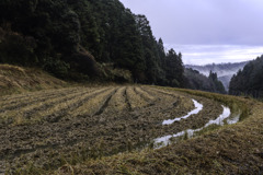 織りなす大地