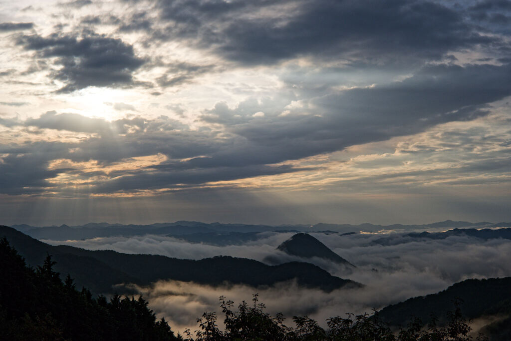 薄明光線と雲海