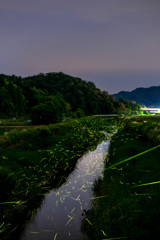 高速と蛍の光