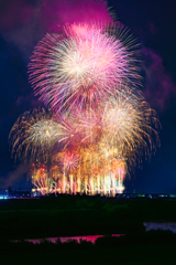 真夜中のサーカス