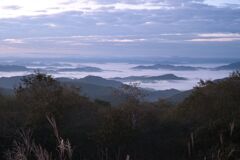 大江山雲海 大江山雲海