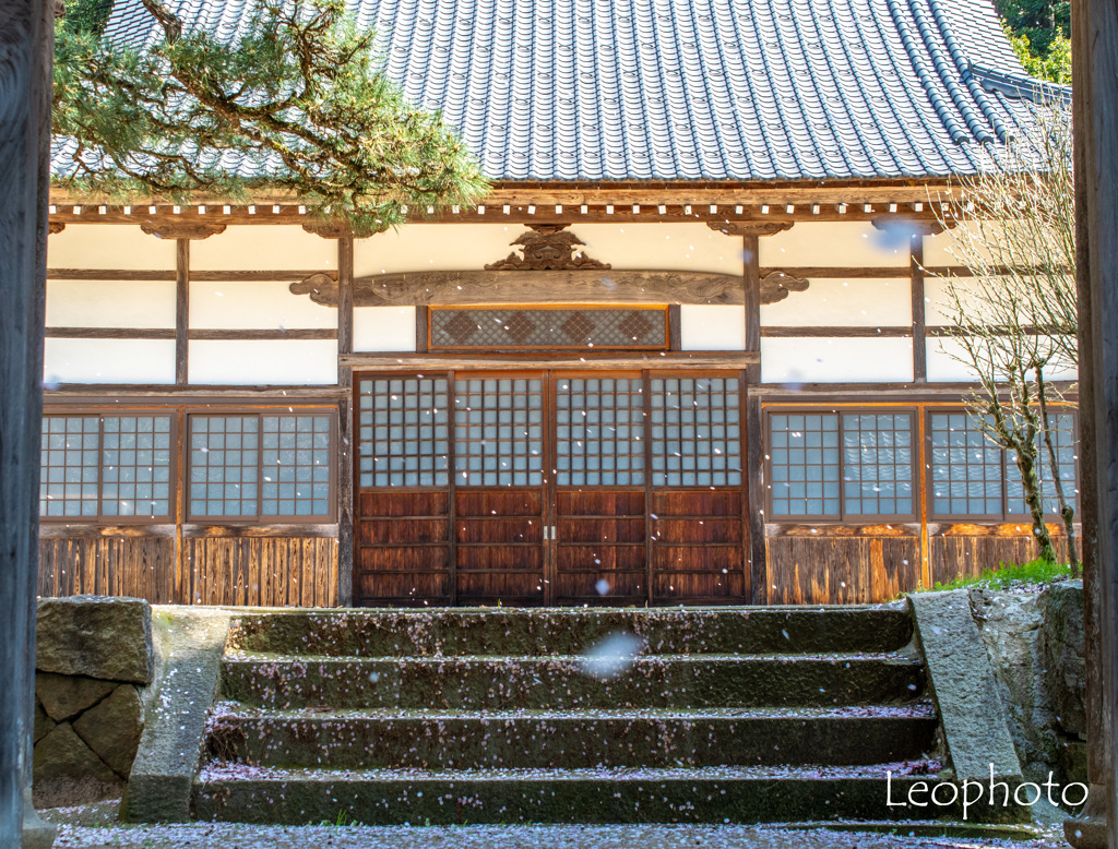 桜吹雪の間