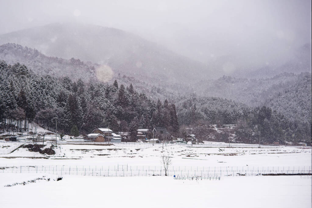 おばあちゃんのぽたぽた焼きな世界