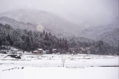 おばあちゃんのぽたぽた焼きな世界