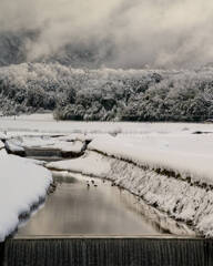 田園風景の一角に