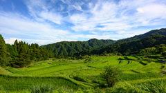 上世屋の田園風景・初夏