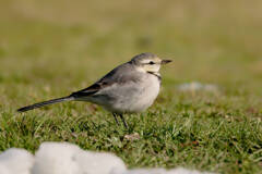 ふっくら冬支度