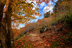 紅葉林道を抜けて