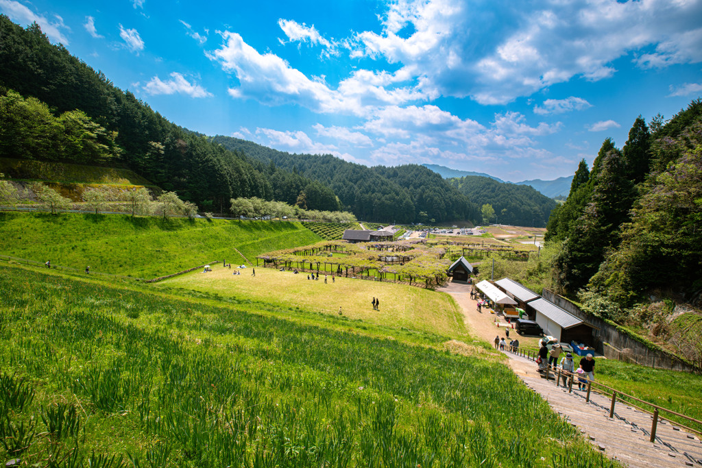 白井大町藤公園高台から