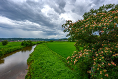 梅雨空の下で