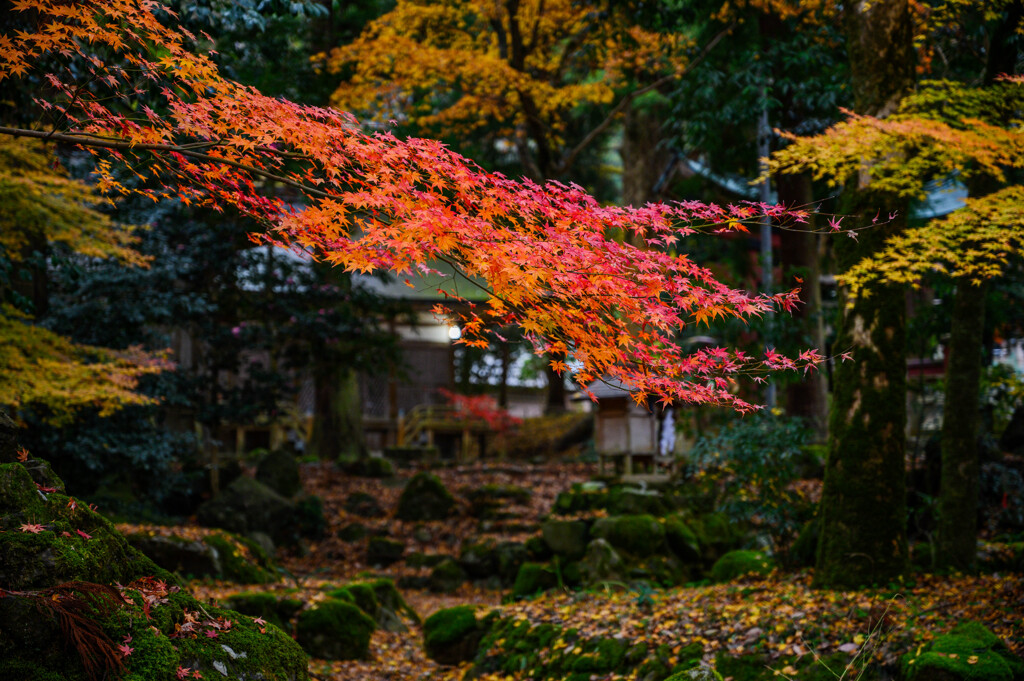 偲ぶ