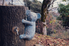 忘れないで