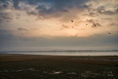 天橋立と阿蘇海