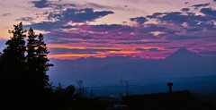 夕日はいろいろ