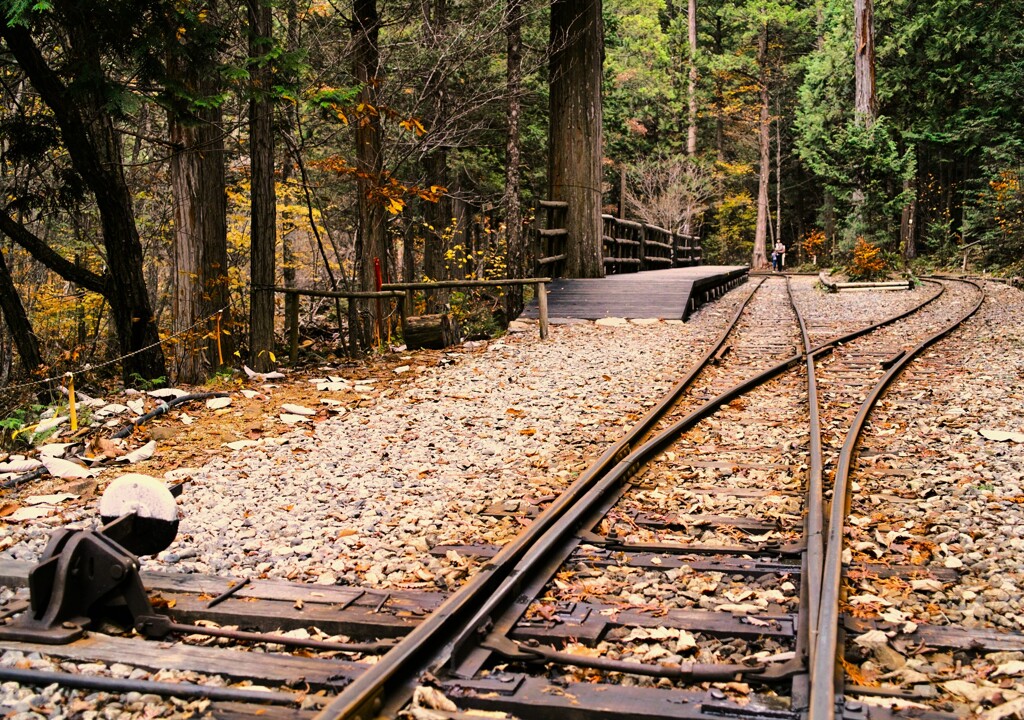 森林鉄道の停車場