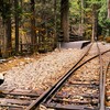 森林鉄道の停車場