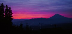 夕日だ！