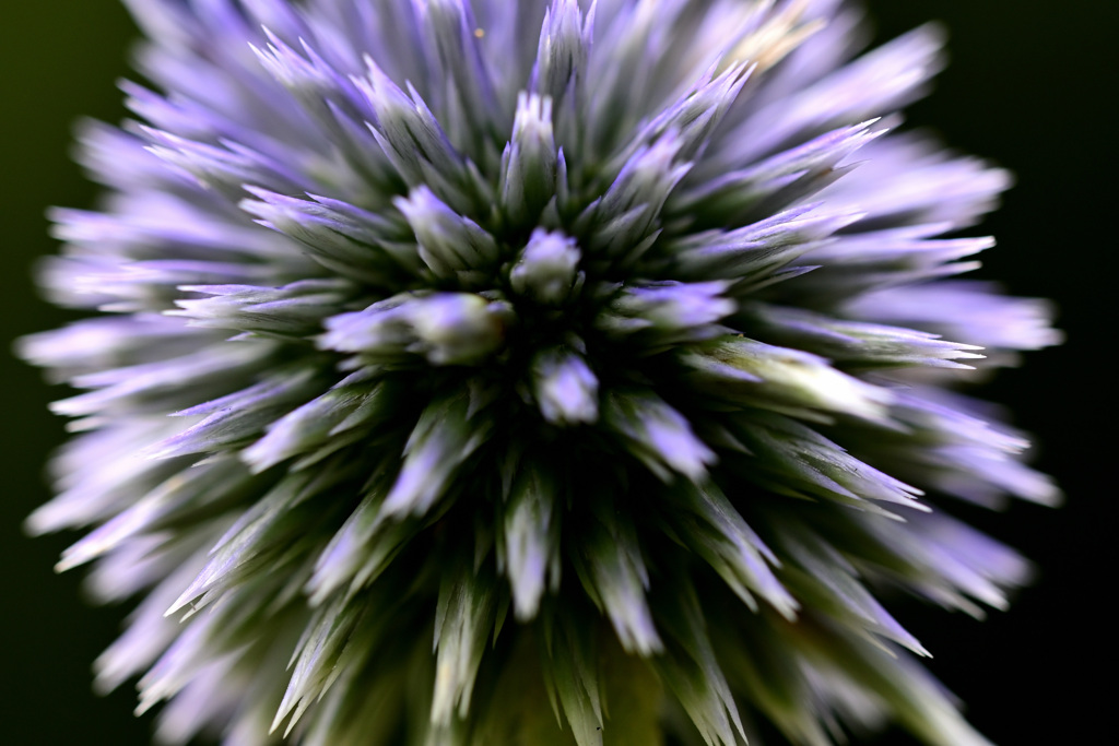 爆発
