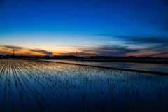 夕暮れの田園