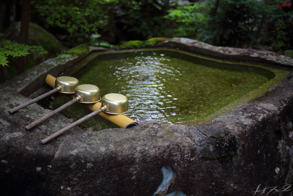 手水鉢