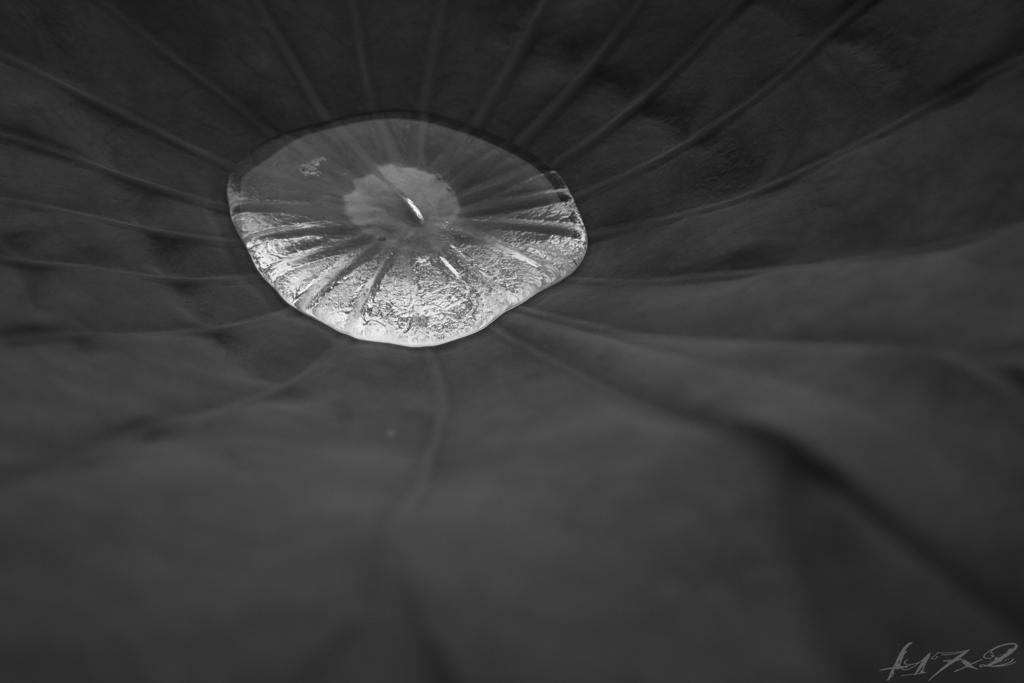 浮き世2