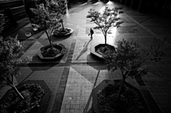 家路