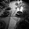 家路