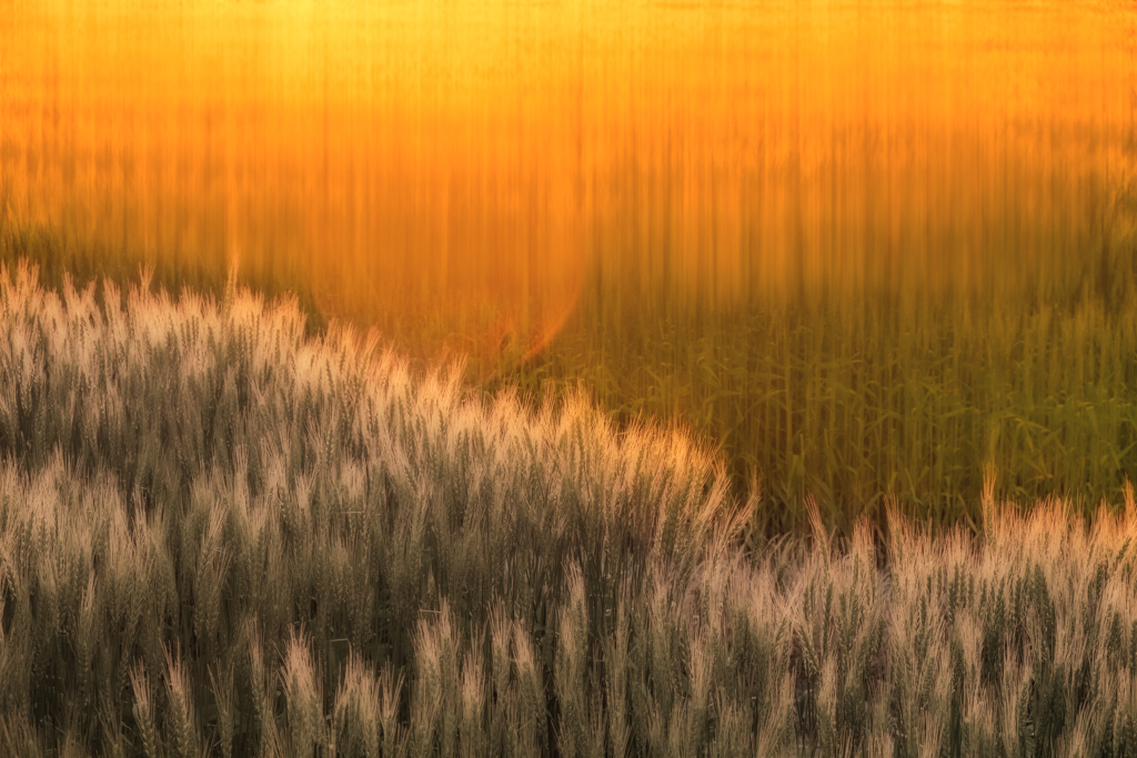 Sunshower