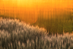 Sunshower