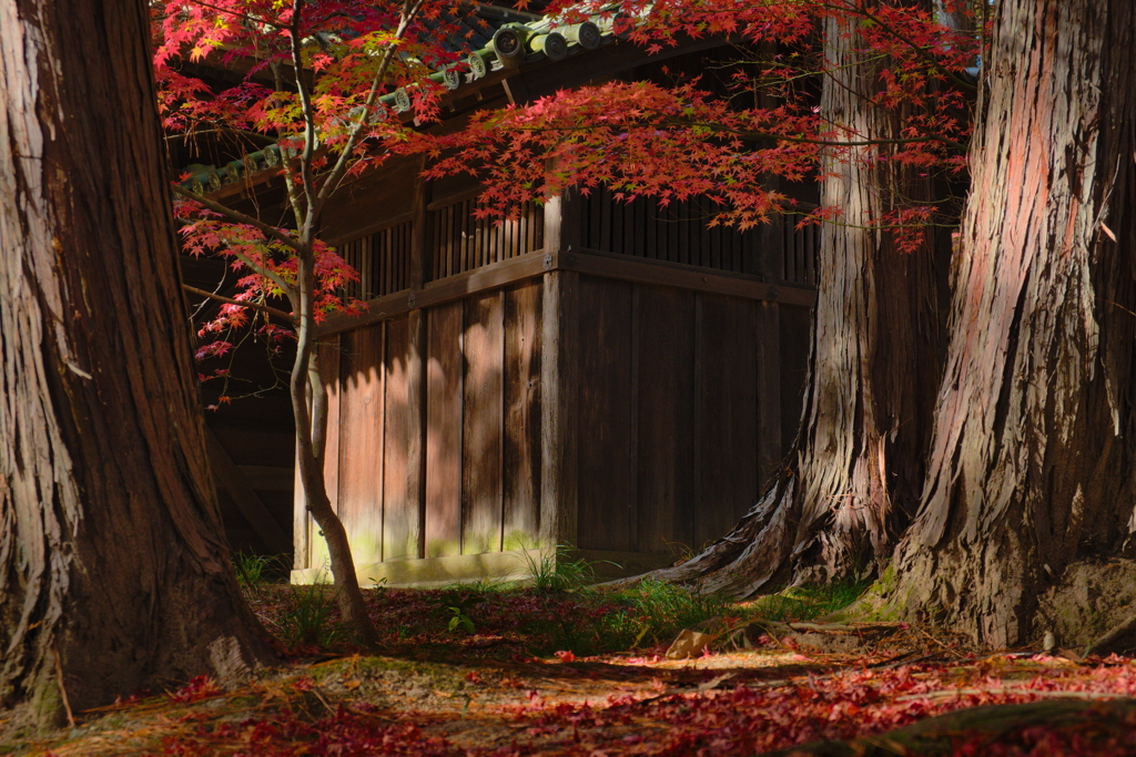 古刹の秋景２