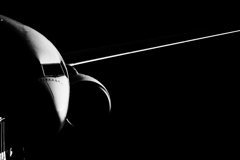 Left wing