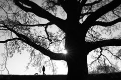 早朝の１ページ