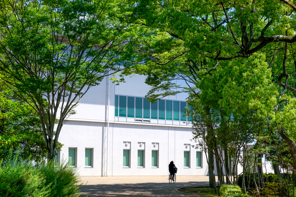 風薫る五月