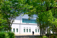 風薫る五月