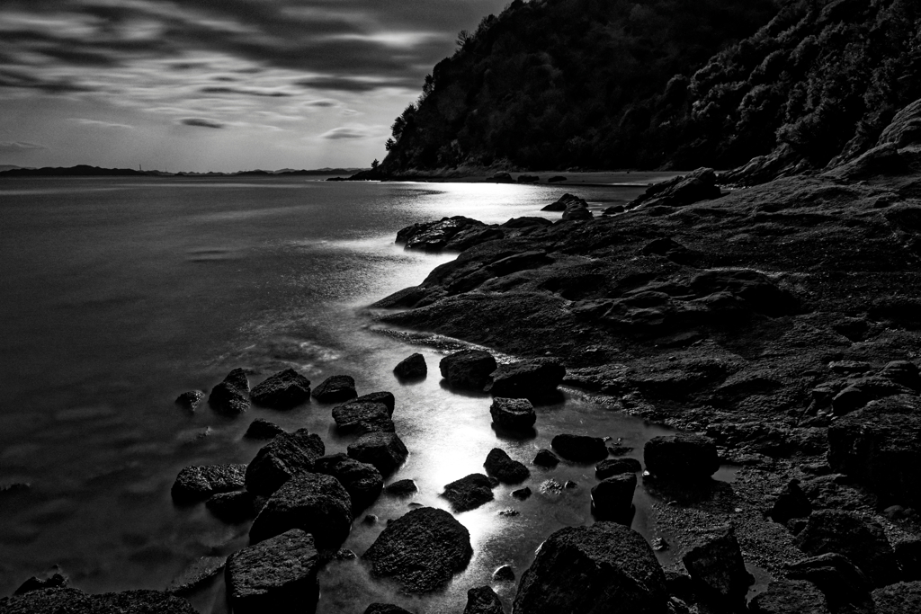 クネクネ光の道