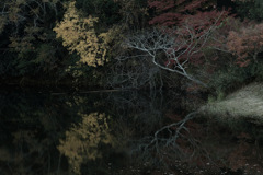 駆け抜ける季節