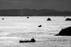 光る海