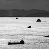 光る海