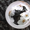 Flower Lamp