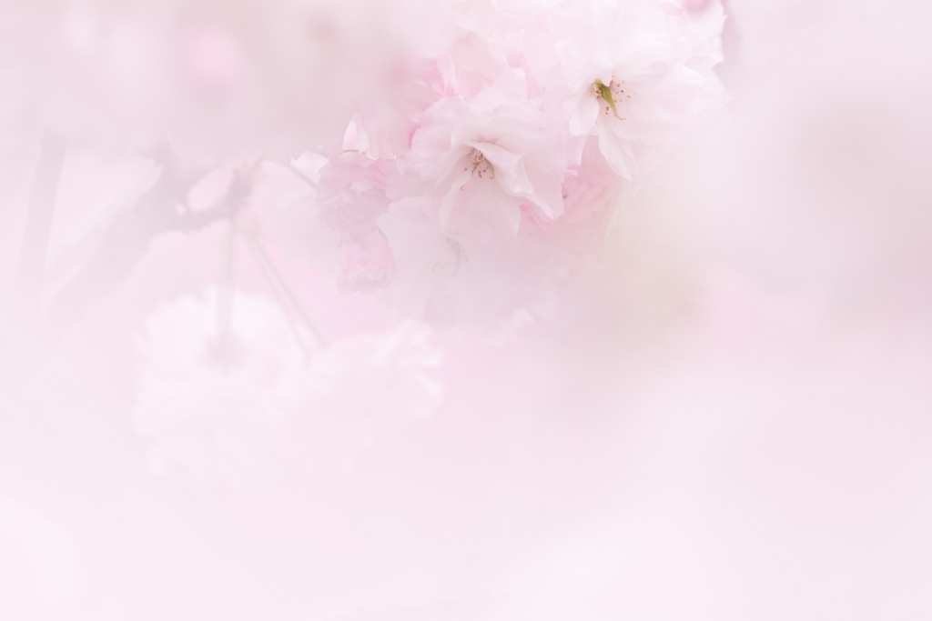 ひそやかに