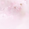 ひそやかに
