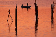 「おかえり～」