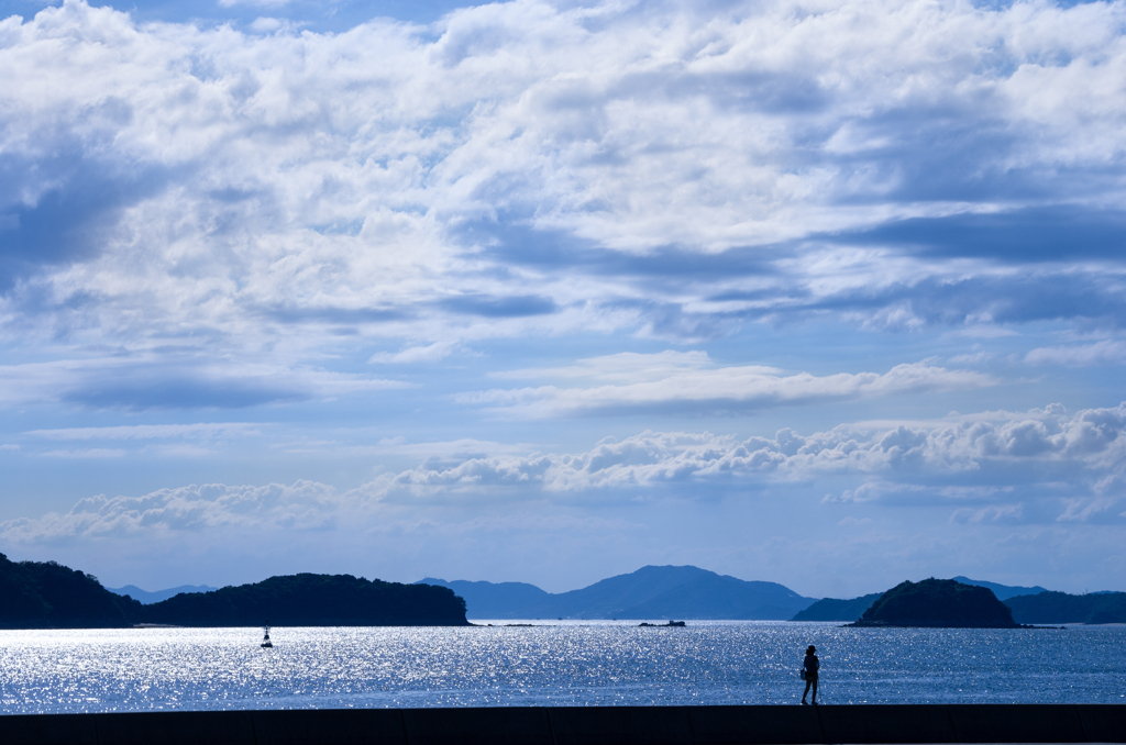 青い夏
