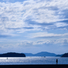 青い夏