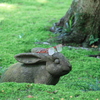 メガネとうさぎ像