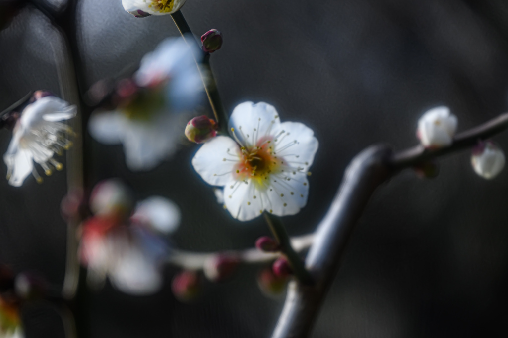 春一歩