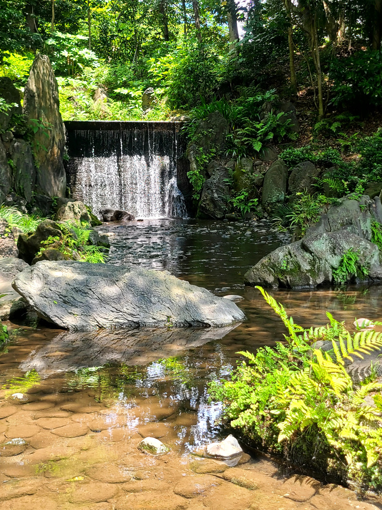 白糸の滝 ～小石川後楽園～