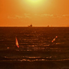 検見川浜のSunset